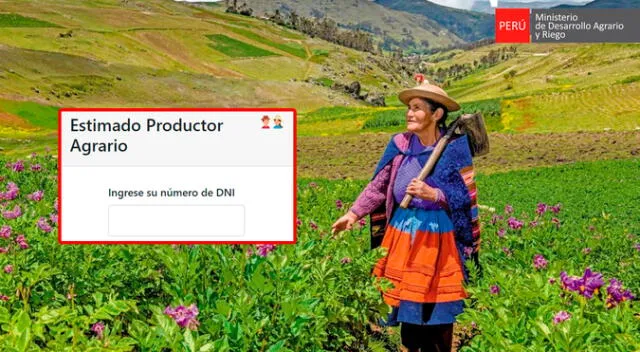 Consulta si estás registrado en el Padrón de Productores Agrarios (PPA) 2023 para que recibas diversos beneficios sociales. Consulta si estás registrado en el Padrón de Productores Agrarios (PPA) 2023 para que recibas diversos beneficios sociales.