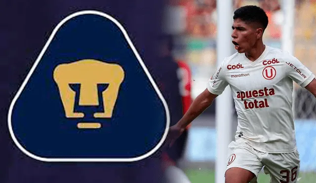 Quispe jugará en Pumas de la UNAM tras salir campeón con Universitario.