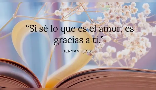 Las mejores frases de amor para dedicar a esa persona especial