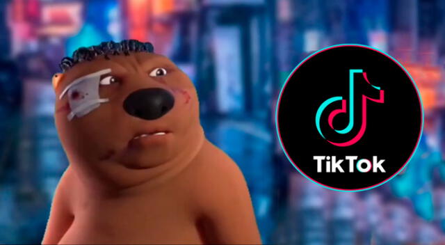 Conoce el verdadero origen del meme viral del 'Castor chino' que se hizo viral en TikTok