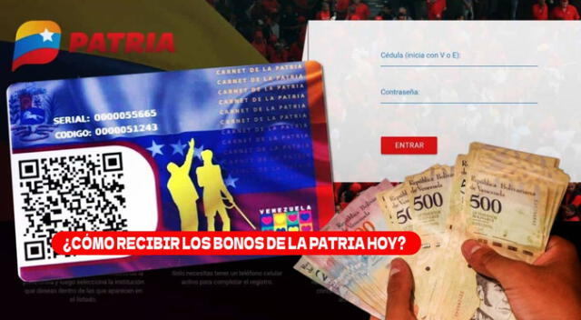 Los bonos especiales de marzo están disponibles en la plataforma Patria.
