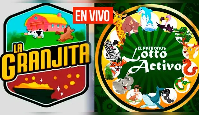 Checa los resultados de Lotto Activo y La Granjita de este domingo.
