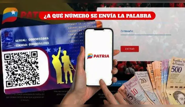 Existen diversos números para enviar la palabra bono y consultar si recibirás el beneficio.