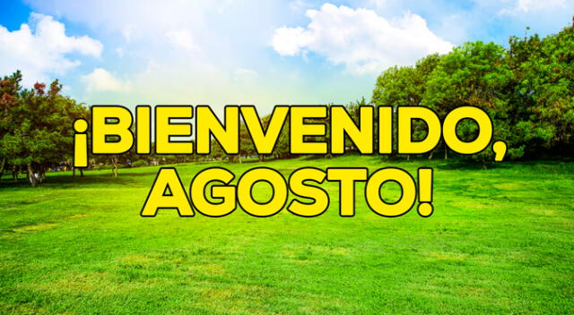 Accede a las mejores frases para darle la bienvenida al mes de agosto 2024. Accede a las mejores frases para darle la bienvenida al mes de agosto 2024.