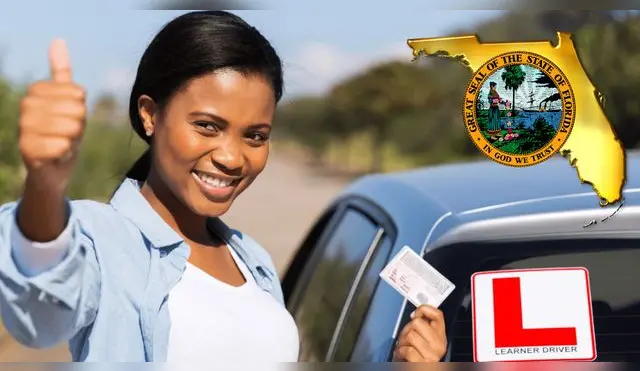 Presta atención, porque desde el 31 de julio entraron en vigencia nuevas normas para renovar tu licencia de conducir.