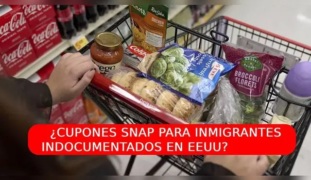 Descubre si los inmigrantes indocumentados pueden recibir cupones SNAP.