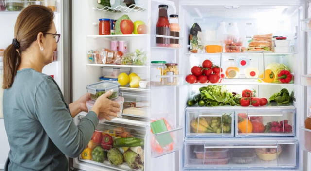 La refrigeradora se encuentra en millones de hogares, por lo que es crucial darle un buen uso para que te dure por años. La refrigeradora se encuentra en millones de hogares, por lo que es crucial darle un buen uso para que te dure por años.