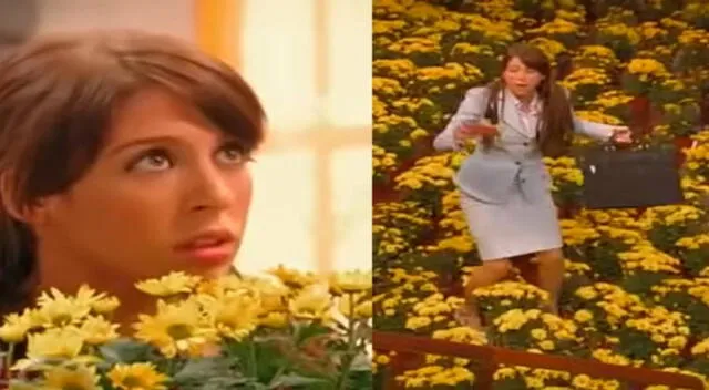 Mira el capítulo completa en la que Floricienta recibe flores amarillas. Mira el capítulo completa en la que Floricienta recibe flores amarillas.