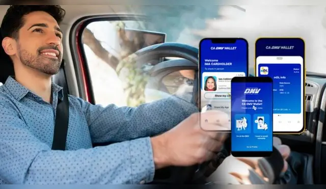 Conoce las nuevas normas sobre las licencias de conducir digitales en EEUU.