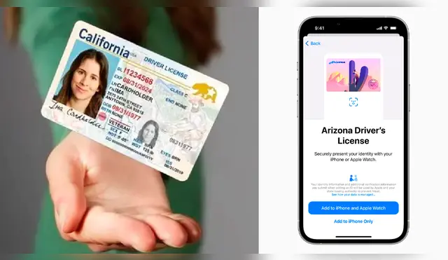 Estos son los siete estados en los que puedes llevar tu Real ID en tu apple Wallet.