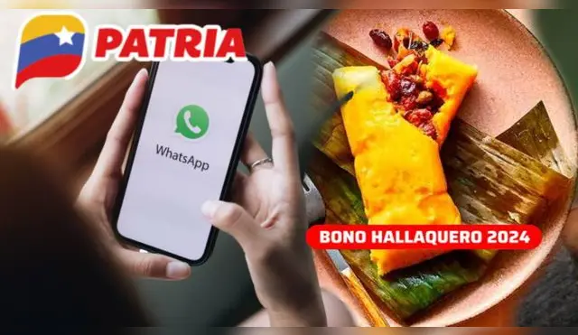 Bono Hallaquero: revisa si se activó LINK de WhatsApp para cobrar Bono Hallaquero: revisa si se activó LINK de WhatsApp para cobrar