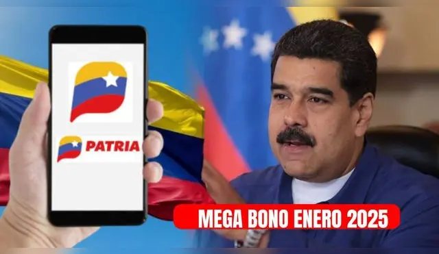 Mega Bono enero 2025: revisa si accedes al pago de este mes