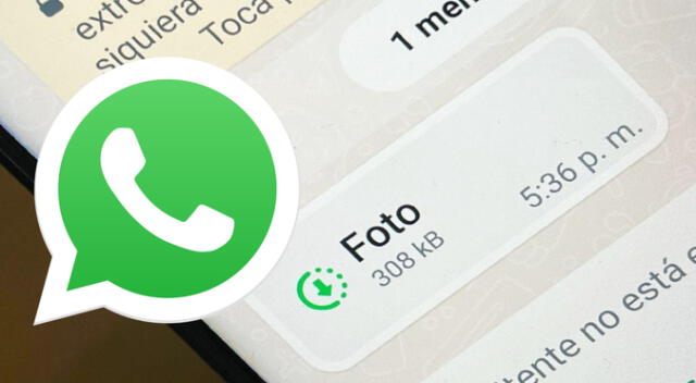 Esta función de WhatsApp está pensada para resguardar la privacidad de sus usuarios.