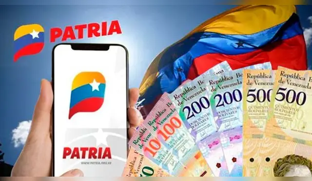 Los 5 PASOS IMPORTANTES que debes seguir para recibir los bonos