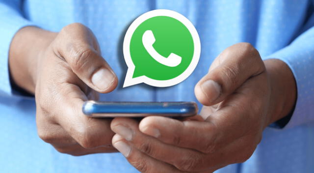 Celulares que se quedarán sin recibir la próxima actualización de WhatsApp. Celulares que se quedarán sin recibir la próxima actualización de WhatsApp.