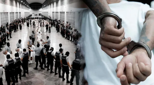 Las deportaciones y el trato severo hacia los migrantes han planteado interrogantes sobre el respeto a leyes internacionales. Las deportaciones y el trato severo hacia los migrantes han planteado interrogantes sobre el respeto a leyes internacionales.