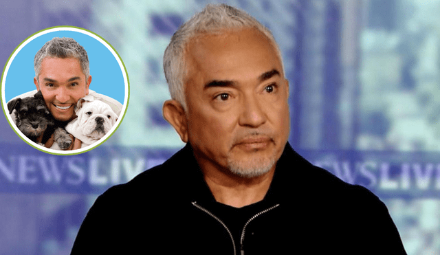 El 'encantador de perros' vuelve a ser noticia en EE. UU.