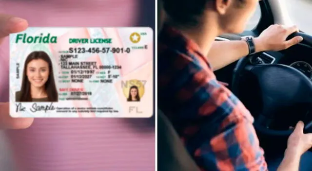 Licencia de conducir en Florida 2025: MULTAS por manejar sin brevete y más.