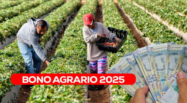 Conoce si estás registrado en el Padrón de Productores Agrarios del Midagri.