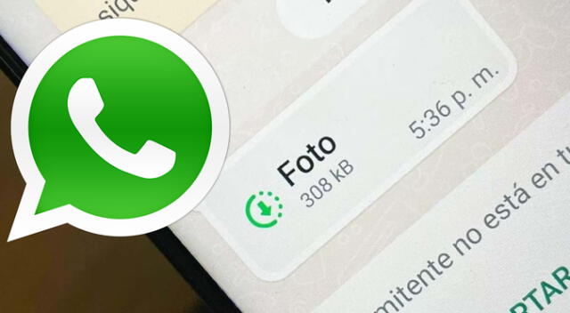 La popular aplicación de mensajería es la más utilizada en todo el mundo.