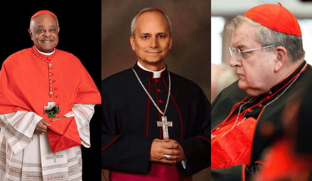 En Estados Unidos, tres figuras ganan protagonismo como posibles papables por distintos especialistas y medios. En Estados Unidos, tres figuras ganan protagonismo como posibles papables por distintos especialistas y medios.