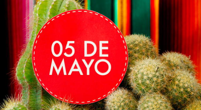 El Gobierno decretó día libre el lunes 5 de mayo y la población tendrá varios días de descanso obligatorio. El Gobierno decretó día libre el lunes 5 de mayo y la población tendrá varios días de descanso obligatorio.