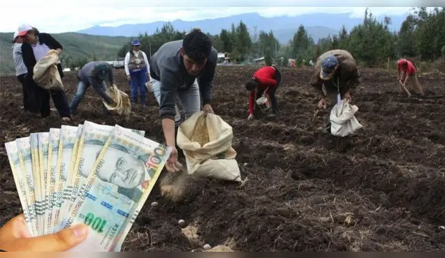 El Bono Agrario estará disponible todo el 2025 a favor de los agricultores.