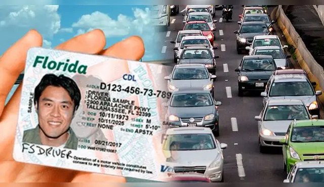 ¿Qué personas no podrán renovar en línea la licencia de conducir en Florida y por qué?