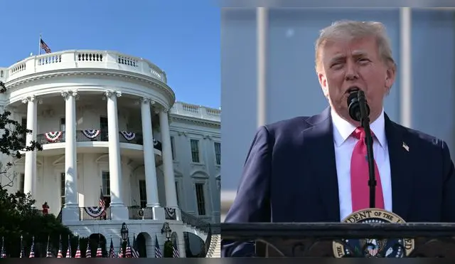 Los posibles candidatos a la pelea que organizará Donald Trump en la Casa Blanca