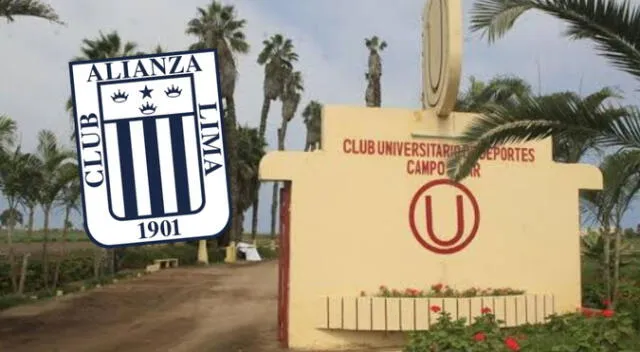 Universitario luce a exfigura de Alianza Lima en entrenamientos y se ilusiona con el título Universitario luce a exfigura de Alianza Lima en entrenamientos y se ilusiona con el título