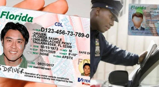 Conoce los puntos del DMV en donde puedes sacar tu licencia de conducir en Florida.
