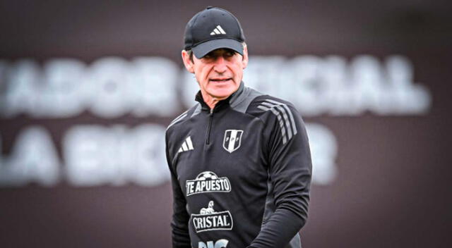 La licencia que otorgó Ibáñez a la selección.