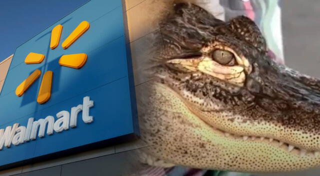 No dejan entrar a un hombre con su mascota en este Walmart. No dejan entrar a un hombre con su mascota en este Walmart.
