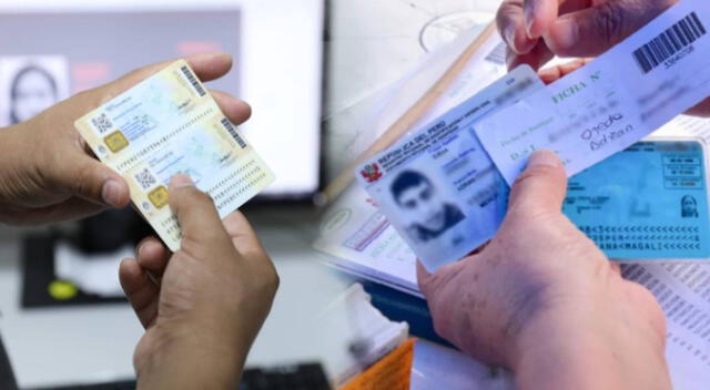 DNI: consulta sobre el acceso al documento gratis en Lince