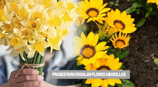 Flores amarillas para este 21 de septiembre: frases para dedicar