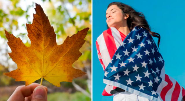 Otoño 2025 en EE. UU.: la fecha exacta en la que empieza. Otoño 2025 en EE. UU.: la fecha exacta en la que empieza.