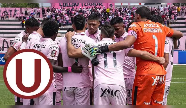 Hinchas de Sport Boys conocieron una importante noticia.