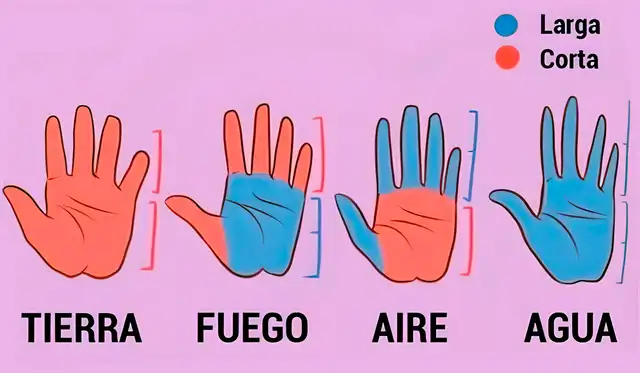 test de personalidad