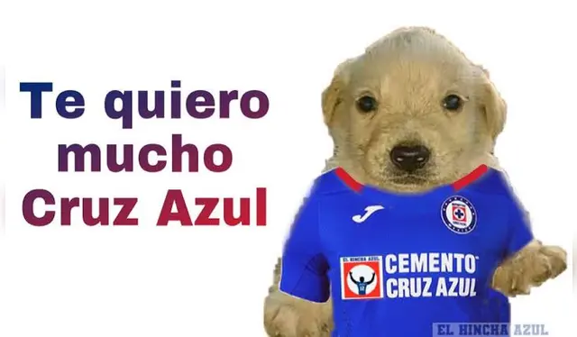 <strong>(FOTO: TWITTER)</strong>