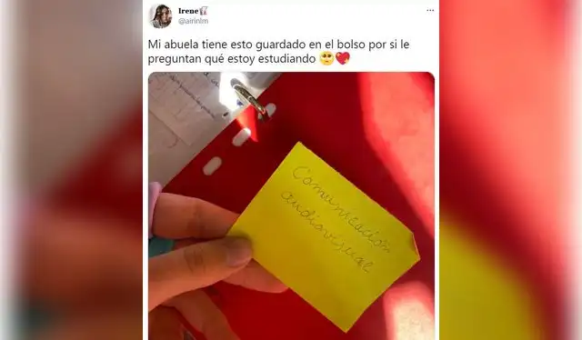 <strong>(FOTO: CAPTURA)</strong>   