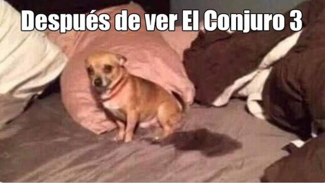 Los memes inundaron las redes.   