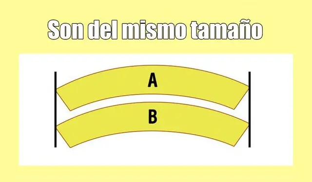 Eran del mismo tamaño.   