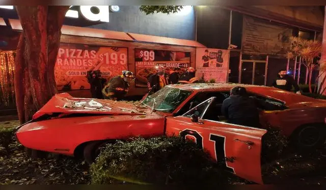 Se fue de frente contra el árbol y hasta se subió la banqueta.   