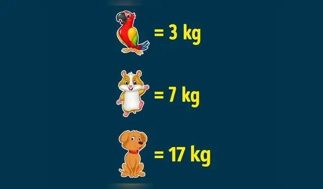 Foto: Genial.   