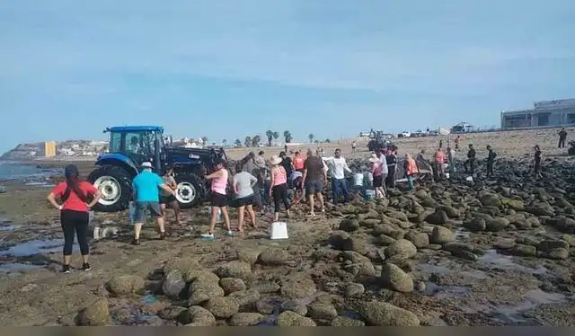 Con ayuda de un tractor retiraron las piedras que obstruían el paso de regreso al agua   