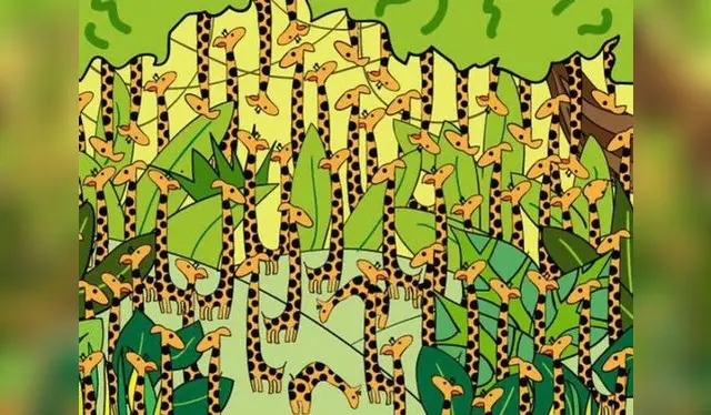  Halla a la serpiente oculta entre las jirafas en menos de 20 segundos.    