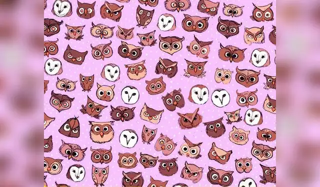  Encuentra a la mariposa oculta entre los búhos en menos de 20 minuto ¿Podrás resolverlo en tiempo récord?    