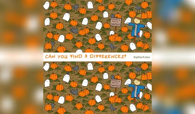 Halla las 7 diferencias entre las calabazas en menos de 1 minuto / Foto: Dudolf.com Halla las 7 diferencias entre las calabazas en menos de 1 minuto / Foto: Dudolf.com