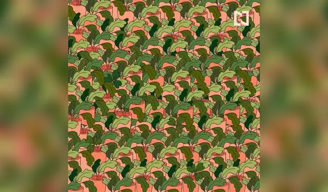 Localiza todos los tréboles entre las plantas en 30 segundos / Foto: Televisa 