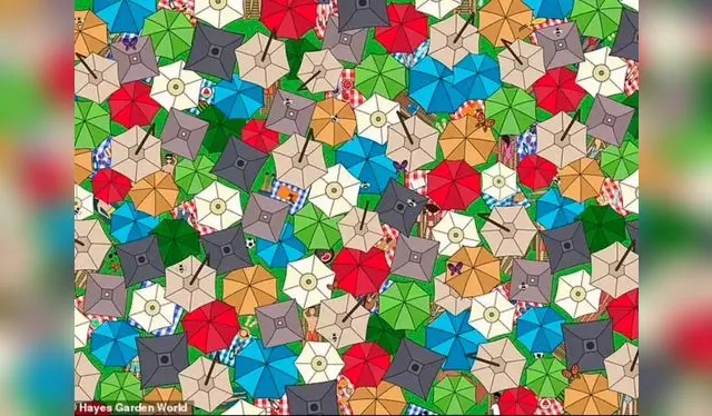  Halla al gato dormido entre las sombrillas en solo 30 segundos / Foto: <strong>FootActive</strong>    